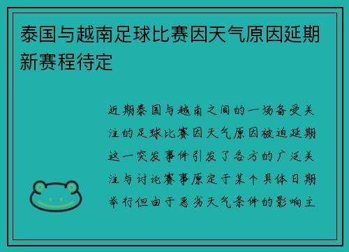 泰国与越南足球比赛因天气原因延期新赛程待定