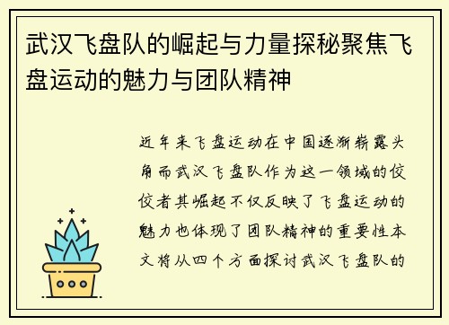 武汉飞盘队的崛起与力量探秘聚焦飞盘运动的魅力与团队精神