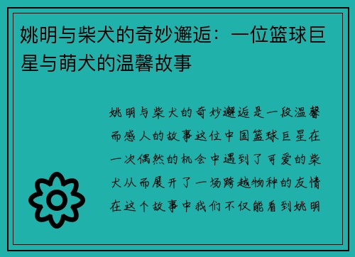 姚明与柴犬的奇妙邂逅：一位篮球巨星与萌犬的温馨故事